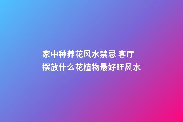 家中种养花风水禁忌 客厅摆放什么花植物最好旺风水